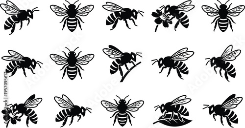 Honey Bee Icon Set with Black Bumblebee Silhouettes, Garden Pollinator Vector Illustrations, Nature Insect Symbols for Logo Design and Graphic Projects