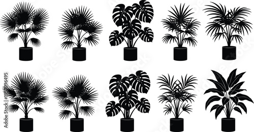 Black Silhouette Vector Set of Tropical Houseplants in Pots Including Monstera Deliciosa and Palm Leaves Isolated on White Background for Modern Interior Design Graphics