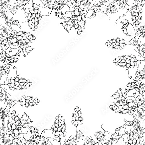 Decorative grapevine border with layered leaves and grape clusters, branching tendrils. Isolated ink vector illustration. Hand drawn for menu frames, bottle gift sets, travel guides and vineyard maps