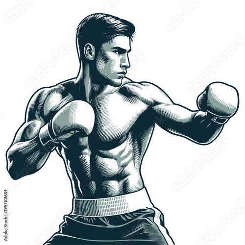 Boxer pose vector and illustration.
