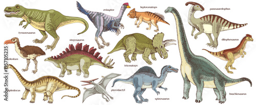Dinosaurs hand drawn vector collection