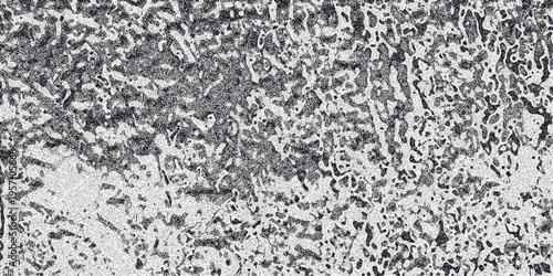 Detailed monochrome abstract texture resembling organic patterns with intricate dark veins and speckled light areas for unique backgrounds