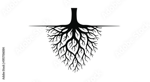 Hand drawn vector illustrations of feather feather duster and tree branch