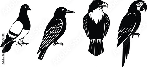 Collection of black and white vector bird silhouettes featuring a pigeon, crow, eagle, and parrot set against a clean white background for graphic design.