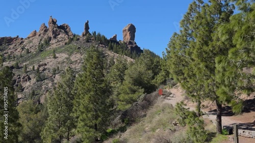 Sunny pine forest and volcanic rock formations landscape