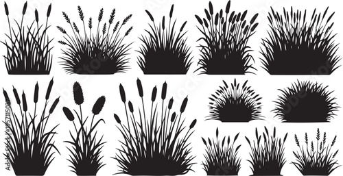 Black silhouettes of various grasses and plants on white background
