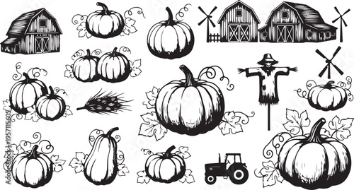 Black and white autumn farm illustration with pumpkins and scarecrow