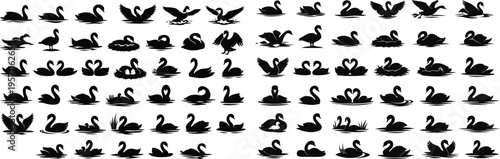 mute swan silhouette, swan icon, waterbird vector, swan swimming silhouette, swan flying icon, wildlife bird vector, lake bird illustration, swan nature icon, elegant bird silhouette, aquatic bird vec