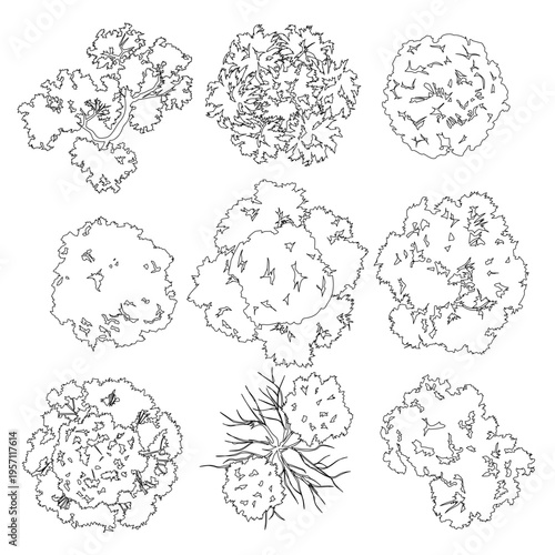 technical library of varied tree plan views, rendered in minimalist line art. The collection provides diverse silhouettes for architects and landscape designers, streamlining precise site planning vis