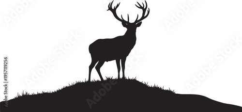 Majestic deer silhouette standing on a hill at sunset