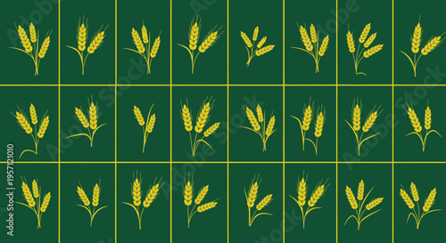 flat vector 21 Wheat Ear Icons Vector isolated on White Background vector background, vector illustration