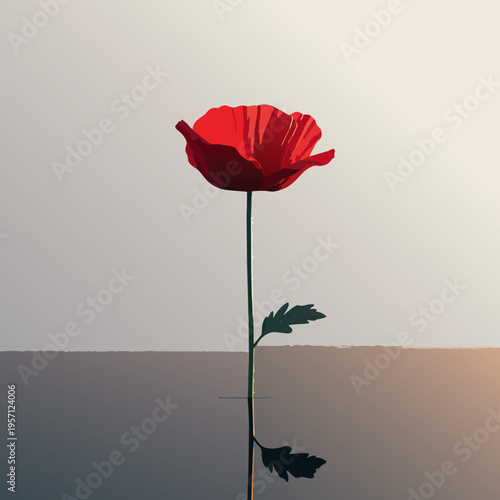 Poppy flower vector illustration