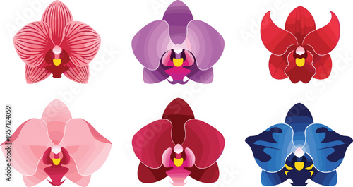 Orchid flower icons set. Flat colorful orchid blossoms in modern minimal style. Decorative floral elements isolated on white background.