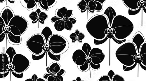 Orchid flowers displayed in repeating pattern on white background, no seamless