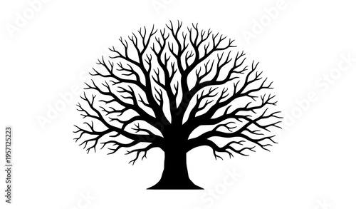 Dry tree silhouette spooky dead tree with spreading branches black vector illustration isolated on white background