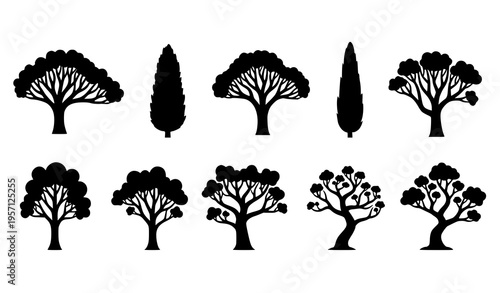 Dry tree silhouettes set dead leafless trees spooky vector collection isolated on white background