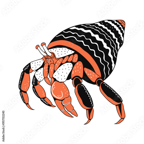 Realistic hermit crab vector showing detailed legs, claws, and natural shell form. Designed with clean lines and accurate proportions, perfect for marine biology visuals, educational materials, coasta