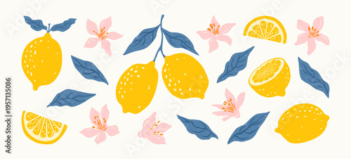 Hand drawn lemon citrus fruits with leaves and flowers in blue and yellow colors. Italian style. Summer Amalfi design for pattern, poster, card, cover. Vector mediterranean botanical illustration.