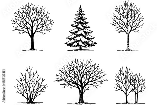 Winter Tree Silhouettes Clipart – Fine Line Botanical Drawing Set