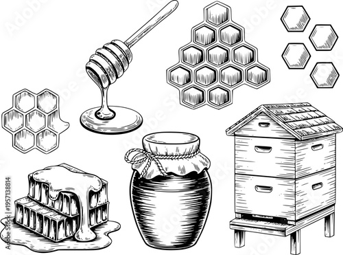 Hand Drawn Honey Beehive Honey Pot Honeycomb and Dipper Isolated White apiary beekeeping
