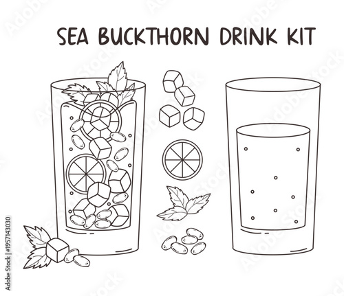 Sea Buckthorn Iced Drink Set. Cocktail Ingredients with Glass, Berries, Ice Cubes, Lime and Mint Leaves. Vector Illustration. Isolated Outline Hand Drawn. Beverage Menu Recipe Element