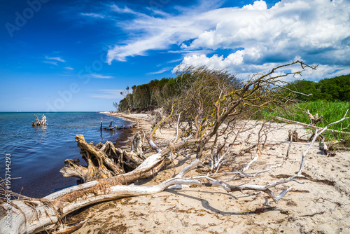 Canvastavla Wilde Ostseeküste Mecklenburg-Vorpommern