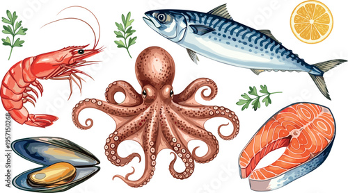 Seafood illustration set featuring octopus shrimp fish salmon steak and mussel with herbs and lemon, fresh marine food collection isolated detailed vector design elements