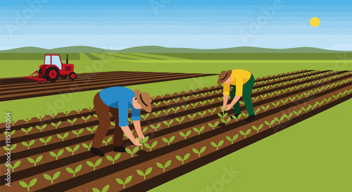 Farmers planting crops in a field with a tractor in the background.