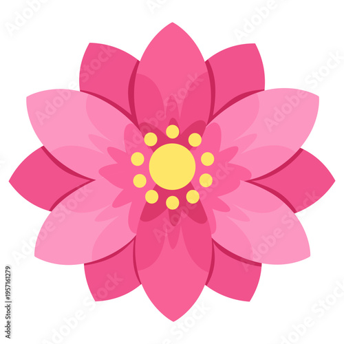 Cactus Flower Bloom with Pink Petals Desert Floral Element Botanical Blossom Illustration