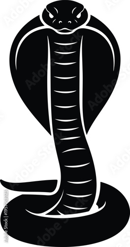 Silhouette aggressive king cobra snake with flared hood coiled body vector illustration