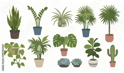 Indoor plant and flower pot vector set with snake plant, monstera, cactus, and decorative greenery isolated on white
