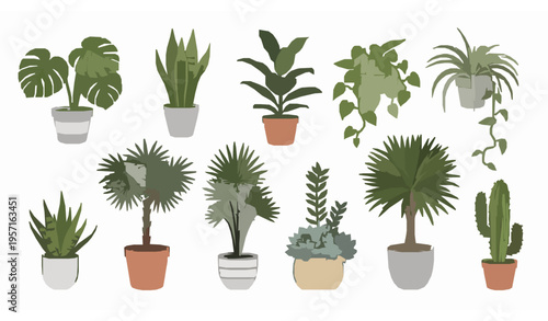 Flat style indoor plants and flower pot vector set with snake plant, monstera, cactus, and decorative greenery isolated