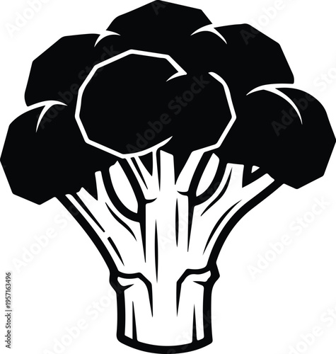 Silhouette of a fresh healthy broccoli floret isolated on white vector illustration