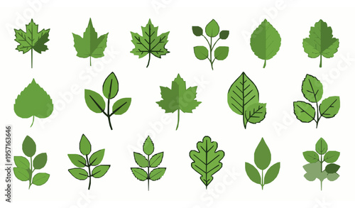 Green leaf vector icon set in flat style for nature, eco-friendly, and bio illustrations isolated on white