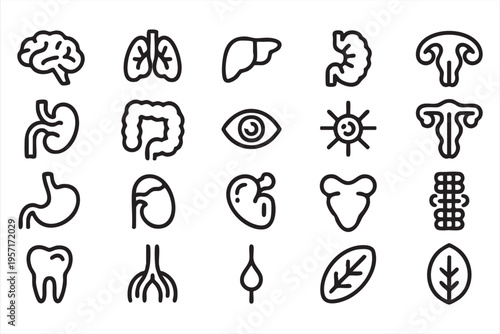 Anatomy Icon Collection with Brain Heart Lungs and Internal Organs