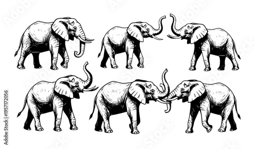 Minimal elephant sketch set with multiple poses fine line vintage style vector illustration isolated on white background