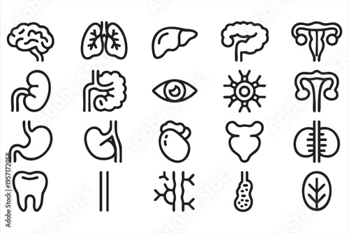 Human Anatomy Medical Line Icons with Organs for Healthcare Design