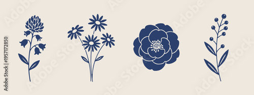 Floral bloom sketches, spring garden flowers, botanical line art, decorative flower bouquet, elegant daisy illustration, nature floral elements, romantic bloom doodles.