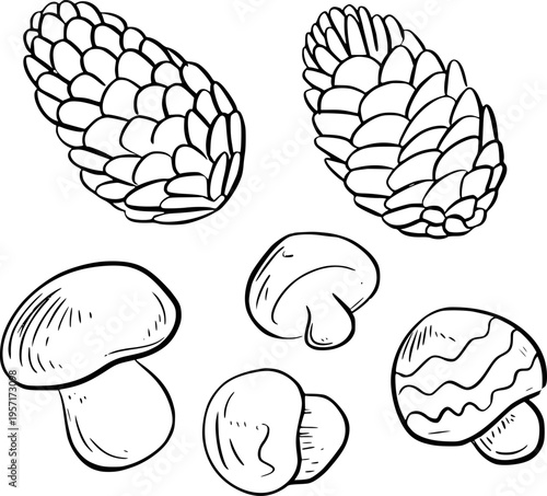 Hand Drawn Outline of Pine Cones and Mushrooms White Background pinecone forest
