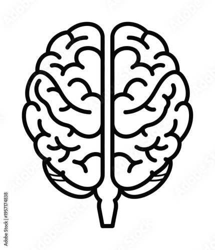 Vector of a human brain depicted in a clean minimalist design.