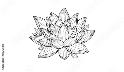 Stylized lotus flower outline with flowing line art decorative water lily vector illustration for patterns and tattoo design isolated on white