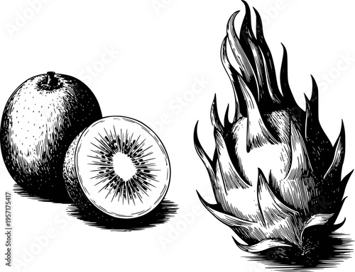 Vintage Ink of Whole Kiwi Fruit Half Kiwi Fruit and Dragon Fruit White Background