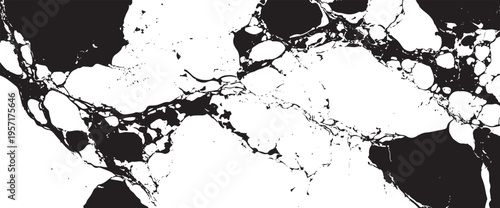 Black and white ink marble texture with organic liquid shapes and flowing patterns