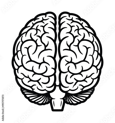 Vector of a human brain viewed from the top in a clean and minimalist style