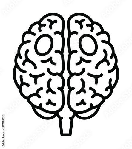 Vector of a human brain with anatomical features