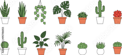 Set of potted indoor house plants and succulents vector illustration featuring monstera cactus snake plant and various decorative greenery.
