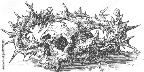 Human skull encircled by large, sharp thorny crown; vintage black and white engraving illustration