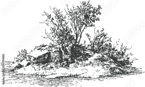 Small island with bushes and rocks, vintage black and white nature sketch illustration