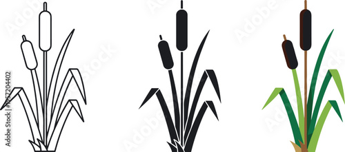 Two Realistic Plastic Ruler Icons Isolated on White Background, One Pink and One Blue Straight Measuring Tools for Scale Precision