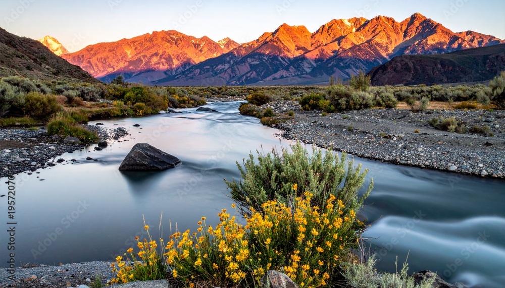Naklejka premium Scenic Mountain River Landscape at Sunset with Wildflowers in Foreground.